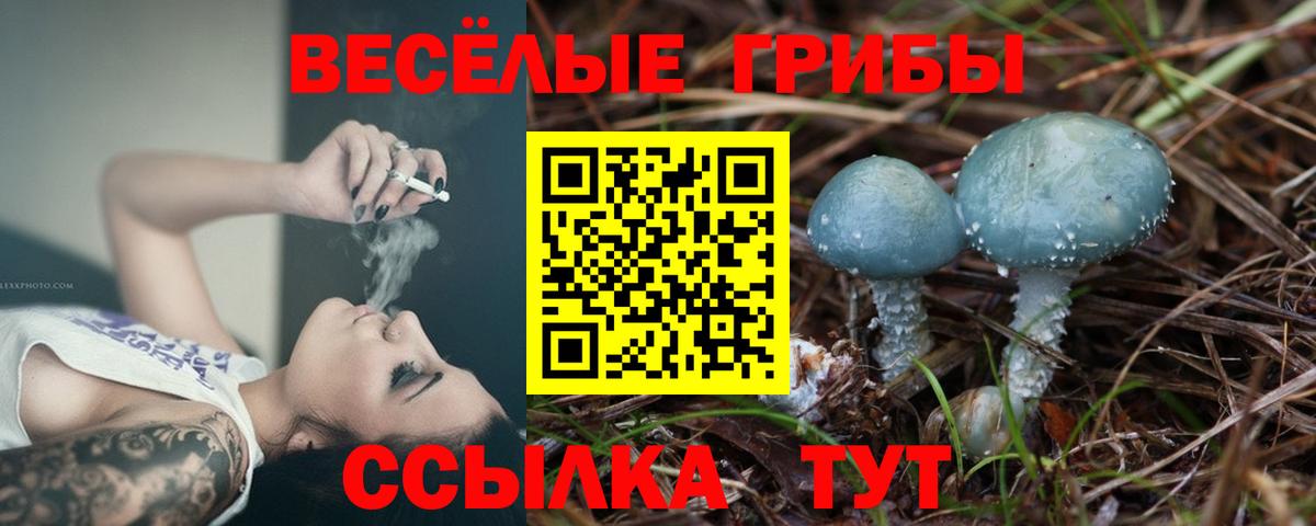 Галлюциногенные грибы MAGIC MUSHROOMS  Вход с VPN  Соль-Илецк 