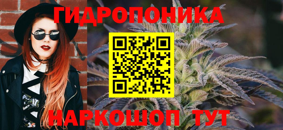 Каннабис сатива Соль-Илецк